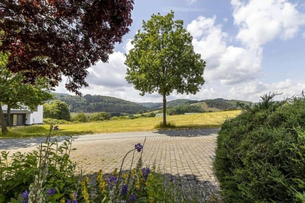 Mit Kamin-sonnendurchflutet-balkon Winterberg